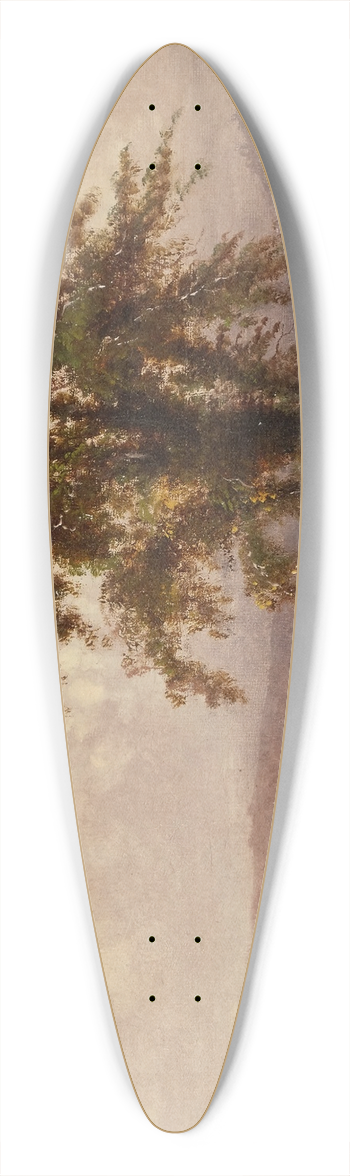 Thomas Hill - Landscape 39.3 inch art pintail longboard deck
