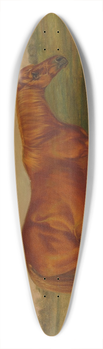 Thomas Scott - Picayune in a Landscape 39.3 inch art pintail longboard deck