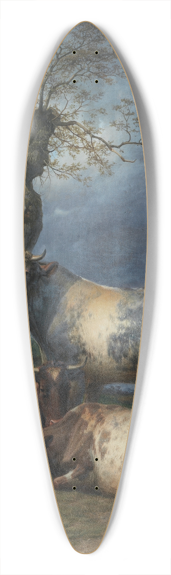 Thomas Sidney Cooper - Repose 39.3 inch art pintail longboard deck
