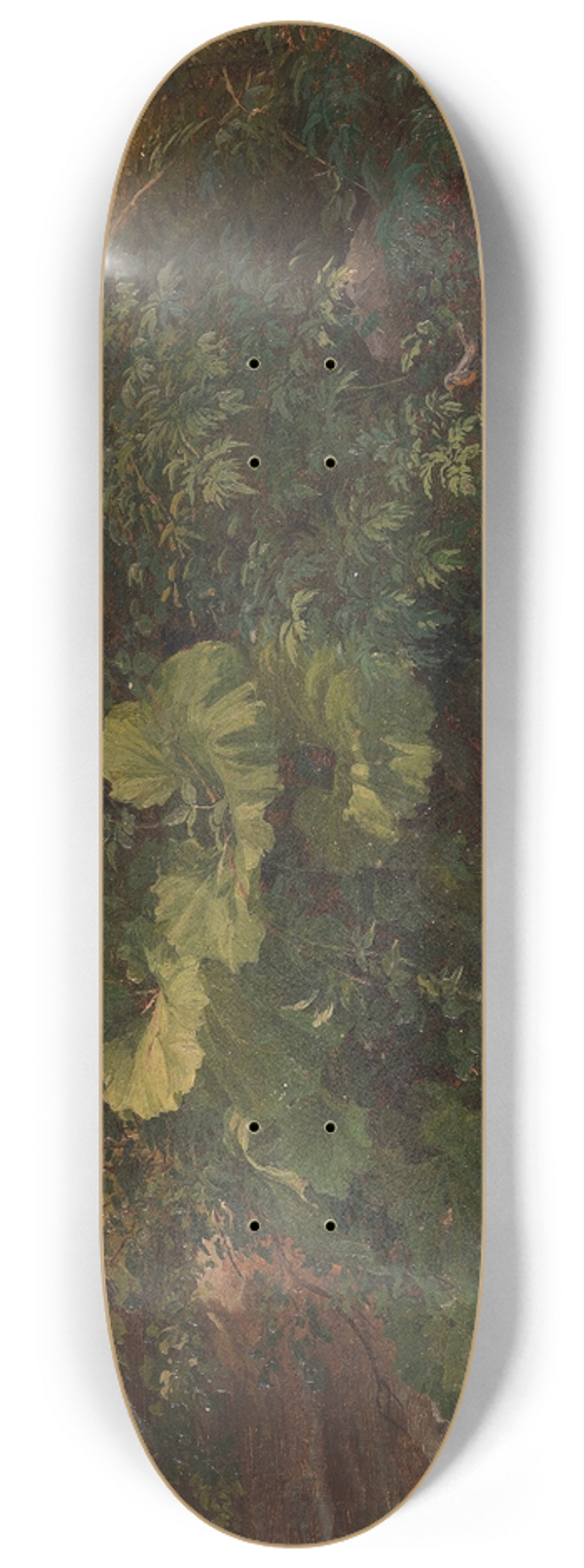 Gustav Friedrich Papperitz - Pflanzenstudie 8.25 inch art skate deck