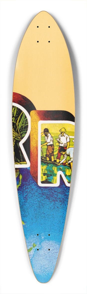 U.S. Information Agency - Iran 39.3 inch art pintail longboard deck