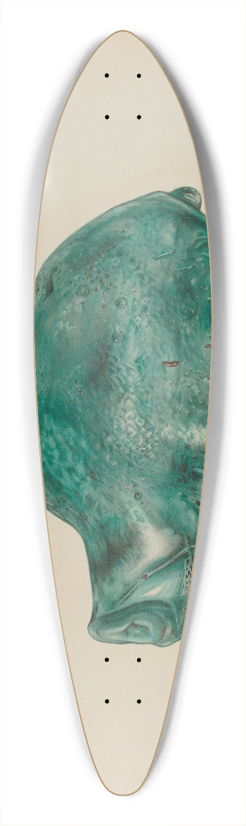 Van Silvay - Turtle 39.3 inch art pintail longboard deck