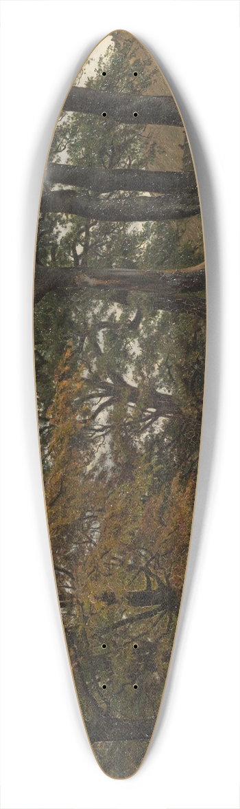 Viggo Pedersen - En opkrt vej under gamle trer 39.3 inch art pintail longboard deck