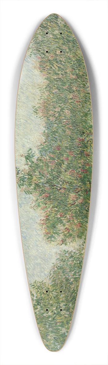 Vincent van Gogh - Garden in Montmarte with lovers 39.3 inch art pintail longboard deck