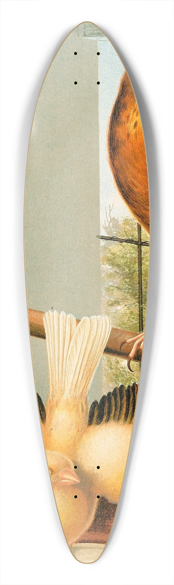 W. A . Blakston - Linnet And Canary Mules 39.3 inch art pintail longboard deck