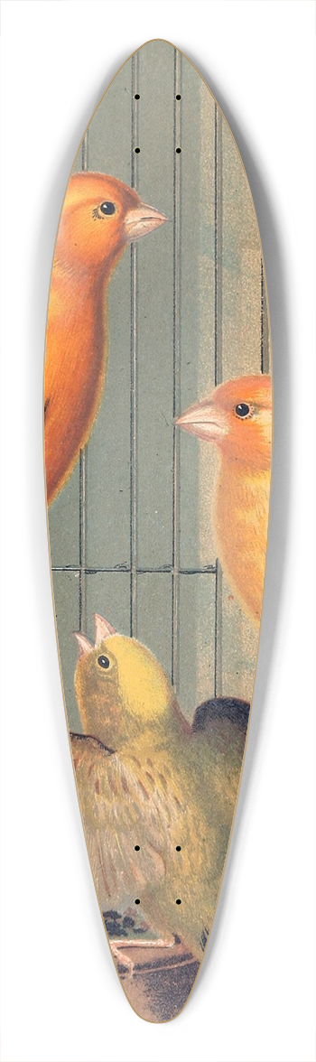 W. A . Blakston - London Fancy Canaries 39.3 inch art pintail longboard deck