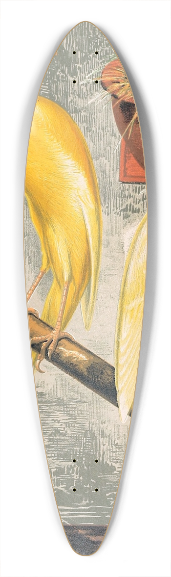 W. A . Blakston - Scotch Fancy Canaries 39.3 inch art pintail longboard deck