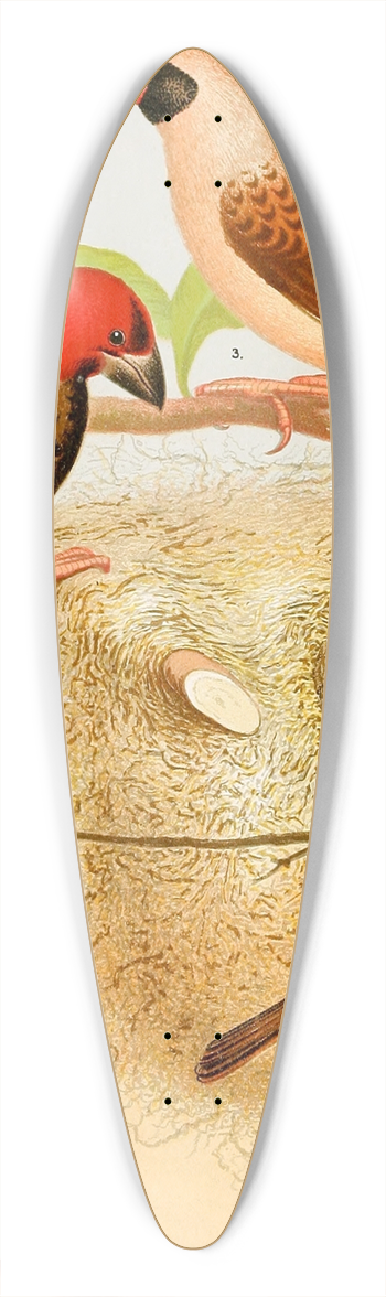 W. A . Blakston - Weaver Birds 39.3 inch art pintail longboard deck