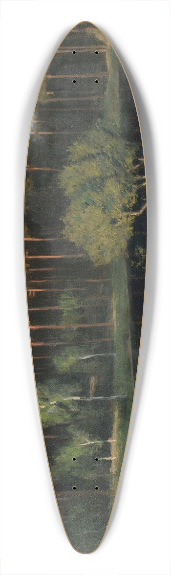 Walter Leistikow - Grunewald 39.3 inch art pintail longboard deck