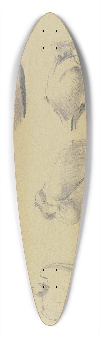 Wilhelm Gentz - Pelicans 39.3 inch art pintail longboard deck
