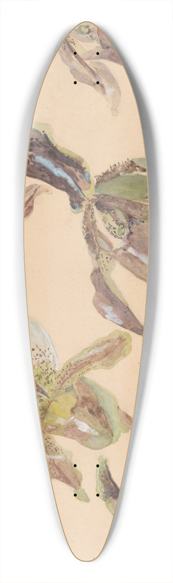 Willem van Konijnenburg - Zeven studies van orchideen 39.3 inch art pintail longboard deck