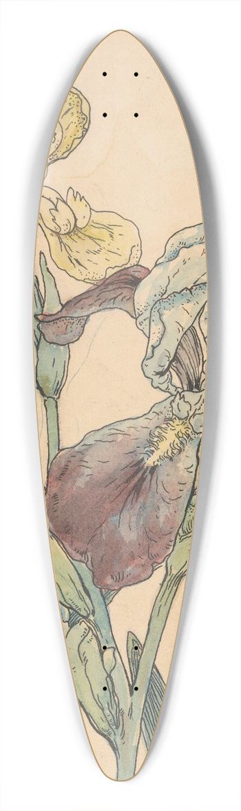 Willem Wenckebach - Iris 39.3 inch art pintail longboard deck