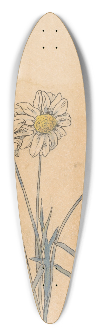 Willem Wenckebach - Witte margrieten 39.3 inch art pintail longboard deck