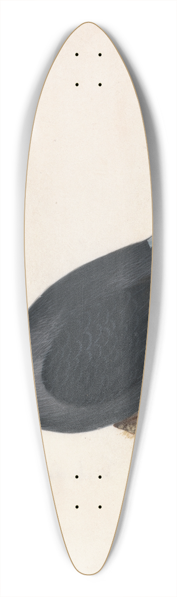 William Lewin - Jackdaw 39.3 inch art pintail longboard deck