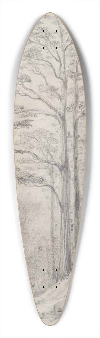 William Swainson - Black birch forest, Upper Hutt 39.3 inch art pintail longboard deck