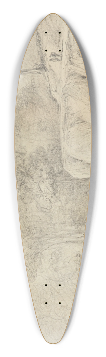 William Swainson - River Hutt joined by the Mangaroa 39.3 inch art pintail longboard deck