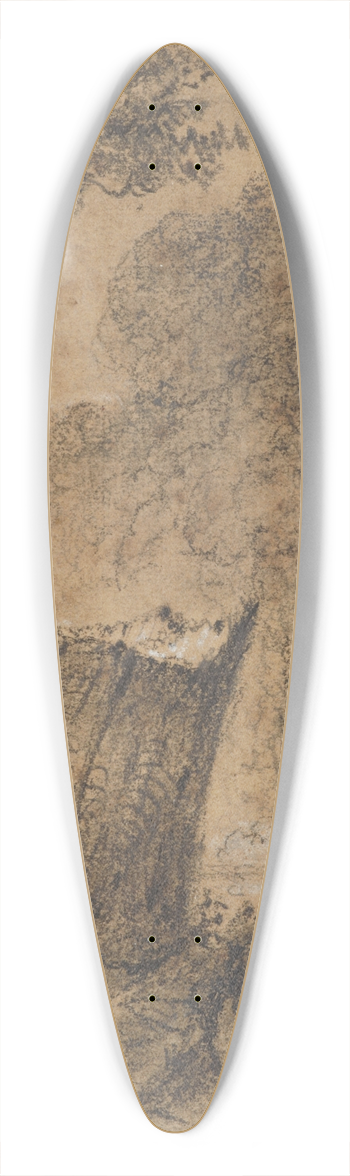 William Swainson - Road through the Hutt Forest, N.Z 39.3 inch art pintail longboard deck