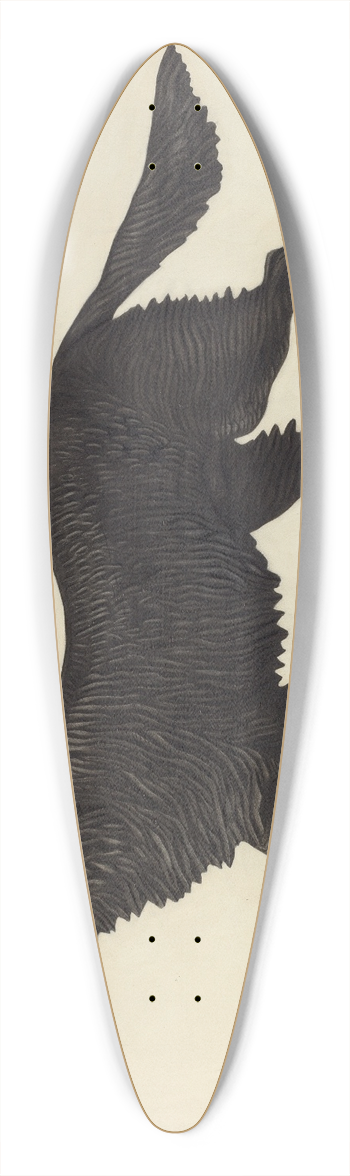 Winifred Luten - Weather Vane Pattern 39.3 inch art pintail longboard deck