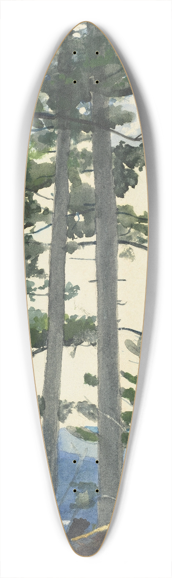 Winslow Homer - Old Settlers 39.3 inch art pintail longboard deck