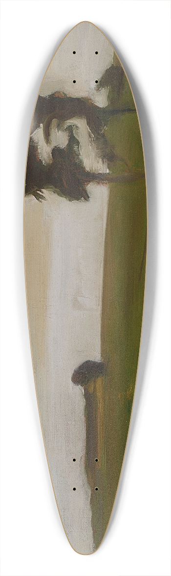 Wojciech Weiss - Evening 39.3 inch art pintail longboard deck