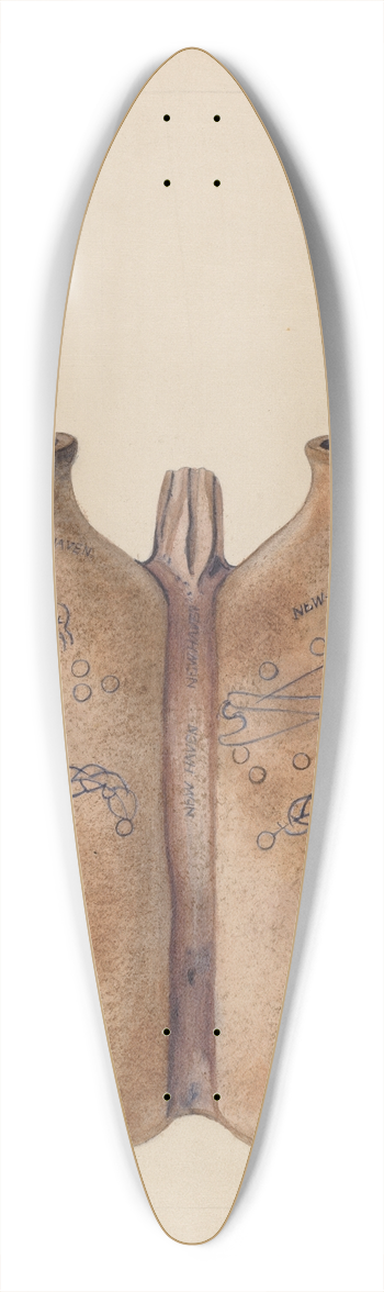 Yolande Delasser - Gemel Bottle 39.3 inch art pintail longboard deck