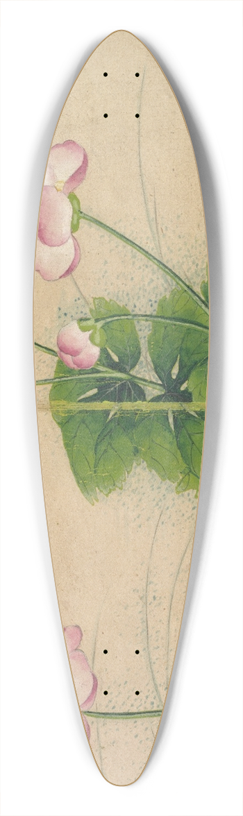 Zhang Ruoai - Mallow flowers 39.3 inch art pintail longboard deck
