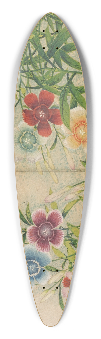Zhang Ruoai - Pinks 39.3 inch art pintail longboard deck