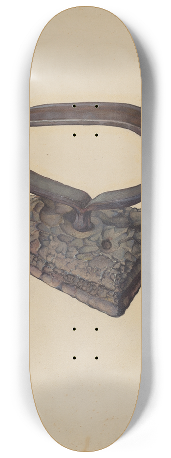 Alf Bruseth - Flatiron 8.25 inch art skate deck