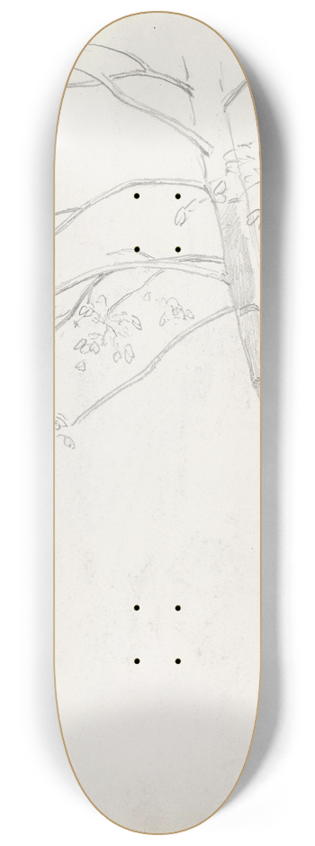 Hans Gude - Trestudie, Bad Sachsa 8.25 inch art skate deck