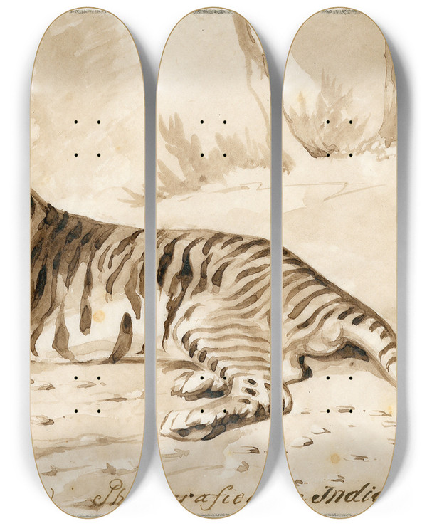 Triptych art skateboard deck of Pieter Van Loon Een Liggende Tijger by Pieter Van Loon (1801-1873)