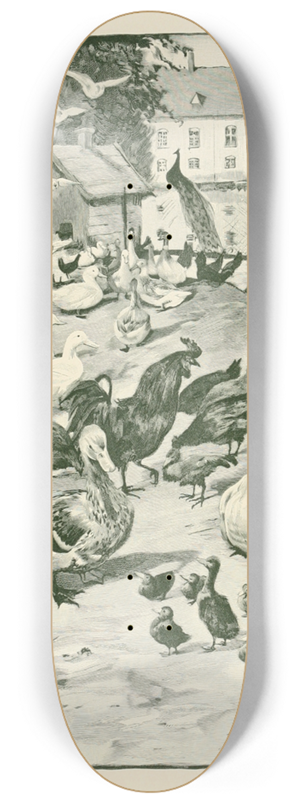 Hans Tegner - Fairy tales and stories pl16 8.25 inch art skate deck