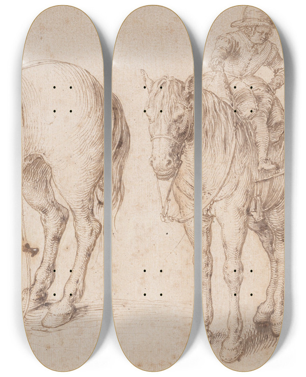 Triptych art skateboard deck of Jacob De Gheyn Ii Study Of A Bean Plant by Jacob de Gheyn II (1565-1629)