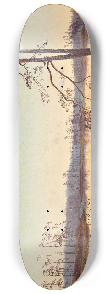 Harald Foss - Summer morning 8.25 inch art skate deck