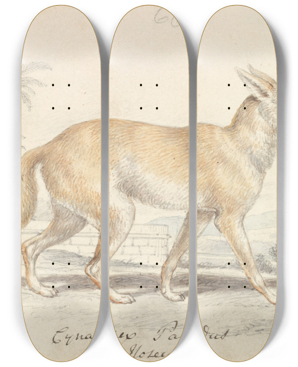 Triptych art skateboard deck of Charles Hamilton Smith Pale Dog Fox by Charles Hamilton Smith (1776-1859)