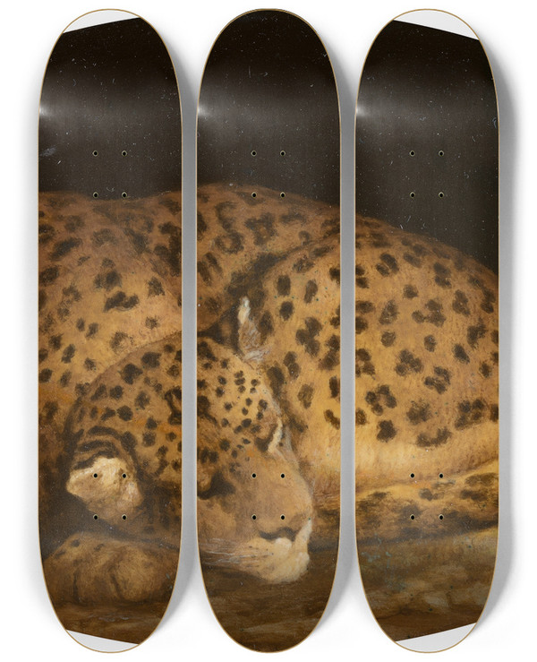 Triptych art skateboard deck of George Stubbs Sleeping Leopard by George Stubbs (1724-1806)