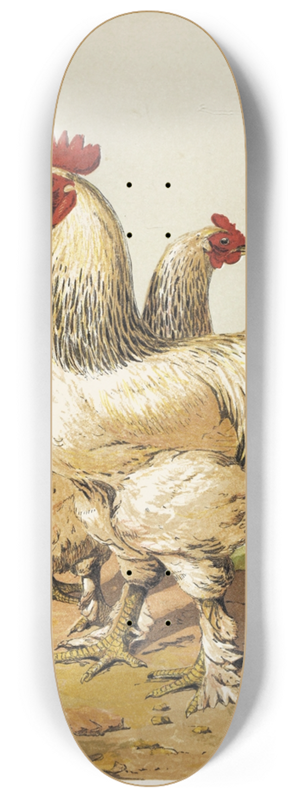 Harrison Weir - Grey Shanghae 8.25 inch art skate deck
