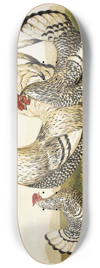 Harrison Weir - Silver Spangled Hamburghs 8.25 inch art skate deck
