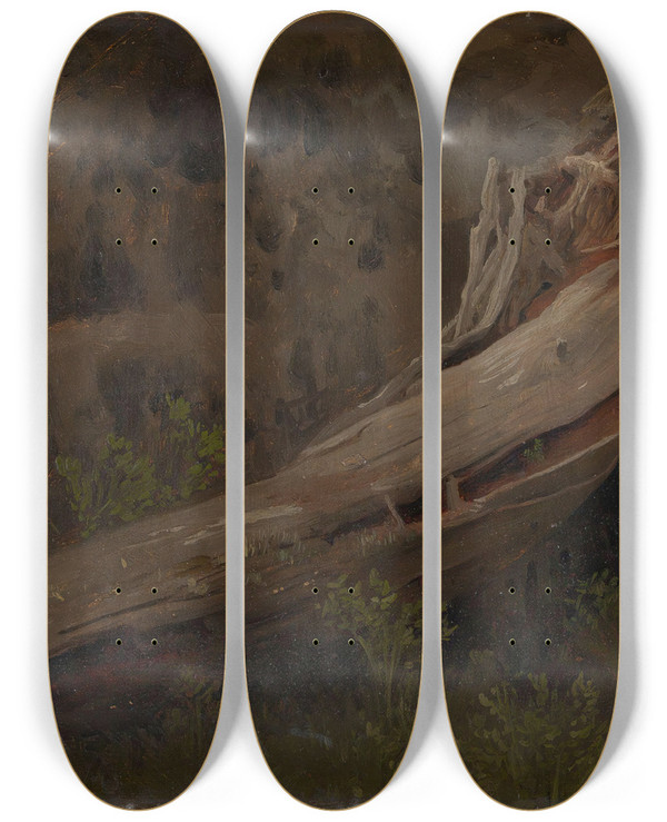 Triptych art skateboard deck of August Cappelen Study Of A Decaying Trunk by August Cappelen (1827-1852)