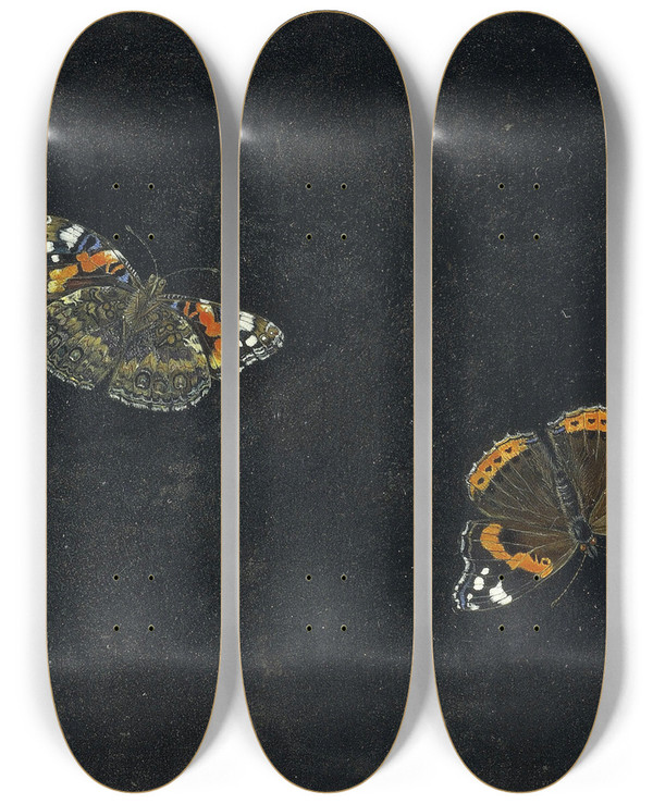 Triptych art skateboard deck of Giovanna Garzoni Zwei Schmetterlinge_2 by Giovanna Garzoni (1600-1670)