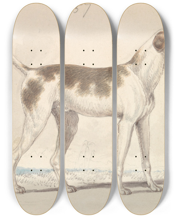 Triptych art skateboard deck of Charles Hamilton Smith Oriental Hound by Charles Hamilton Smith (1776-1859)