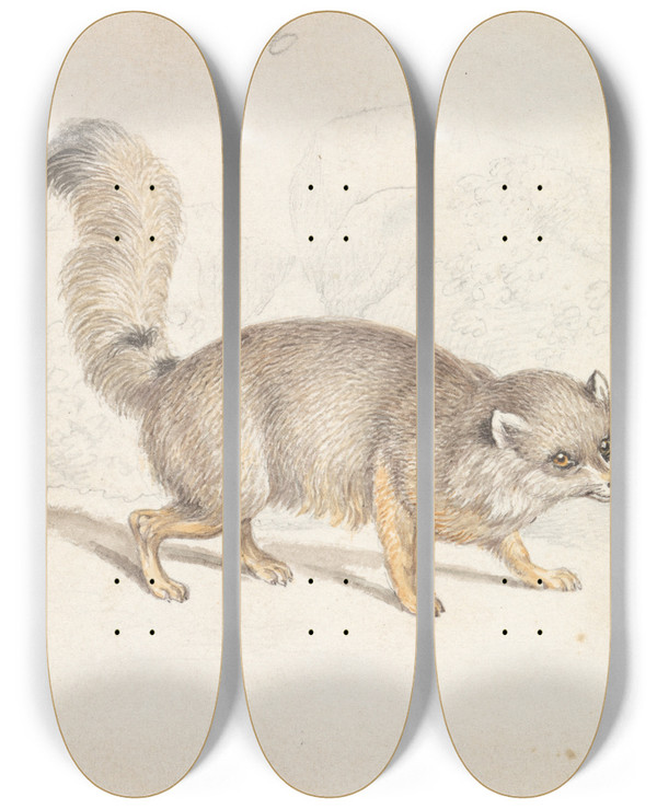 Triptych art skateboard deck of Charles Hamilton Smith Turkish Dogfox by Charles Hamilton Smith (1776-1859)