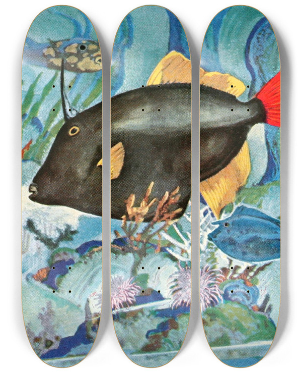 Triptych art skateboard deck of Stephen Haweis Foolfish by Stephen Haweis (1878-1969)