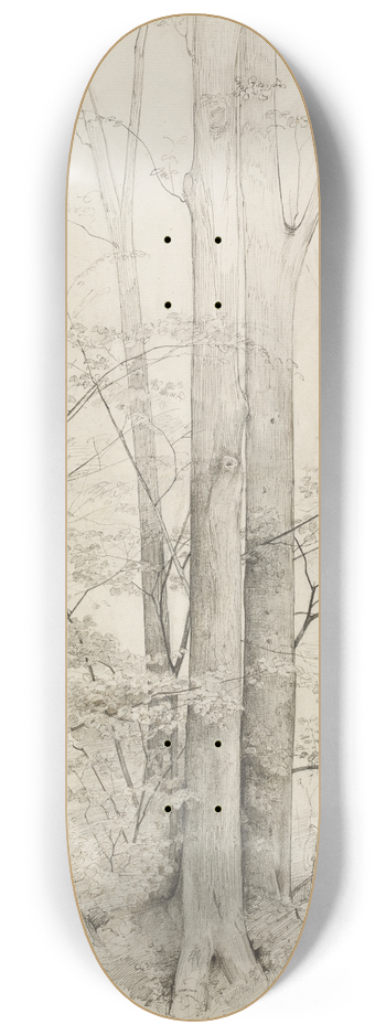 Heinrich Dreber - A Stand of Trees 8.25 inch art skate deck