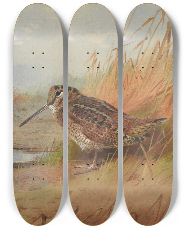 Triptych art skateboard deck of Archibald Thorburn A Woodcock by Archibald Thorburn (1860-1935)