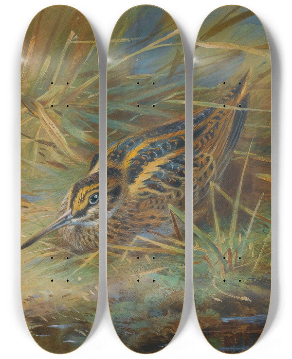 Triptych art skateboard deck of Archibald Thorburn Jack Snipe by Archibald Thorburn (1860-1935)
