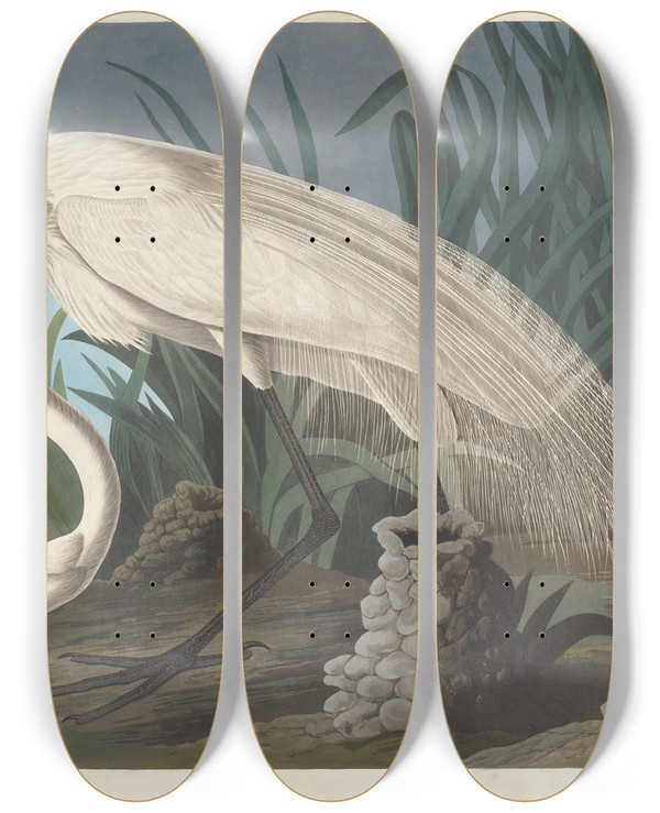 Triptych art skateboard deck of John James Audubon White Heron by John James Audubon (1785-1851)