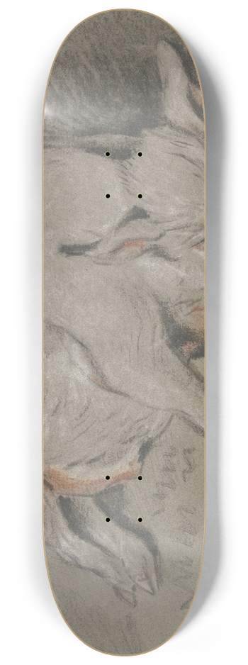 Heinrich Wilhelm Schweickhardt - Liegendes Schwein 8.25 inch art skate deck