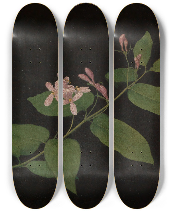 Triptych art skateboard deck of Georg Philipp Schmitt Bltenzweig Der Heckenkirsche by Georg Philipp Schmitt