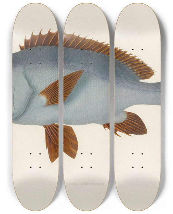 Triptych art skateboard deck of Arthus Bertrand Diagramma Mediterraneum by Arthus Bertrand (19-)