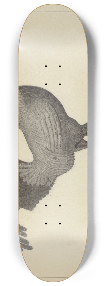 Helen Blumenstiel - Weather Vane 8.25 inch art skate deck